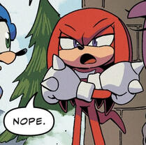 a picture of knuckles the echidna saying "nope."